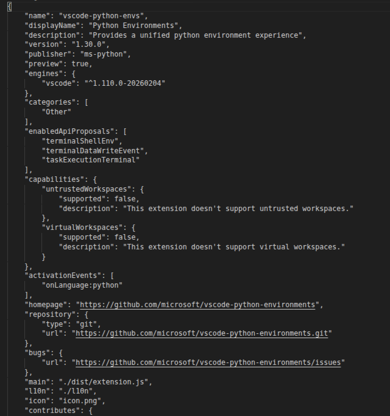 VS Code Python Environments metadata in the JSON response